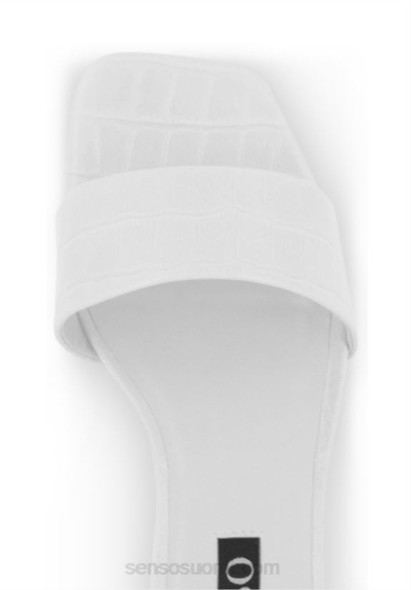 Senso allekirjoitukset maisy vii ice 2866198