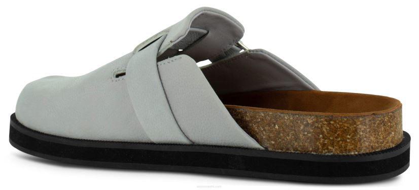 Senso muulit zabel ja jacaranda 2866363