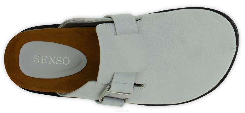 Senso muulit zabel ja jacaranda 2866363