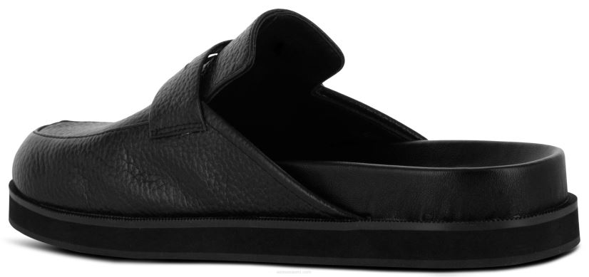 Senso muulit zayn ii eebenpuu 2866368