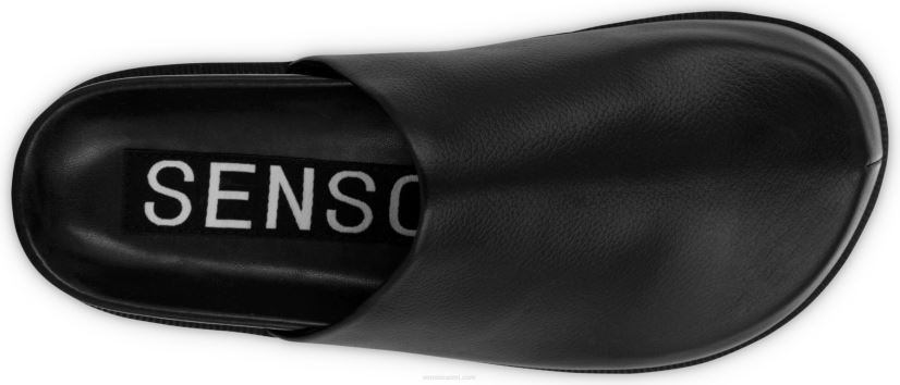 Senso muulit zen eebenpuu 2866370