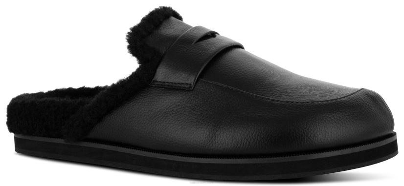 Senso muulit ziggi eebenpuu 2866366