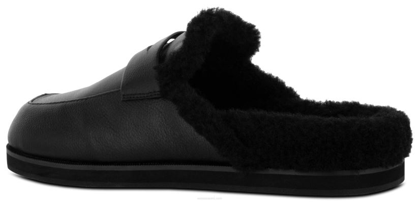 Senso muulit ziggi eebenpuu 2866366